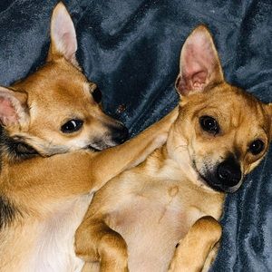 Meet your Posher, Maribel